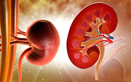 Intentando reducir la insuficiencia renal post TAVI