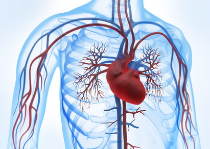 angioplastia a tronco de coronaria izquierda vs cirugia