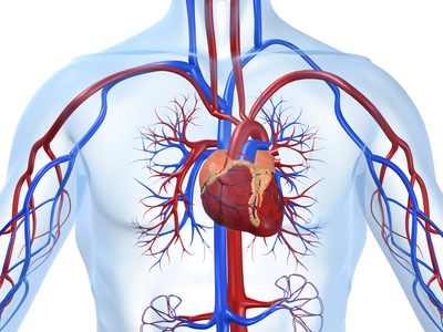 Os 10 mandamentos das cardiopatias congênitas do adulto