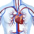 ¿FFR de rutina en pacientes con síndrome coronario agudo?