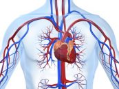 ¿FFR de rutina en pacientes con síndrome coronario agudo?