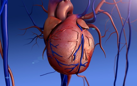 Cirugía para mejorar la sobrevida en insuficiencia tricuspidea aislada