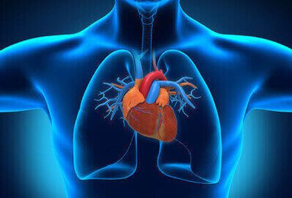 Bons resultados da válvula Sapien em posição Pulmonar