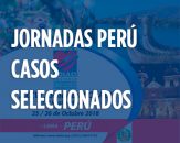 Jornadas Perú, Casos Seleccionados