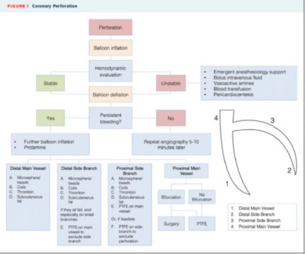 Manejo práctico de las perforaciones coronarias
