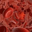 La anticoagulación jugando un papel controvertido en el TAVI