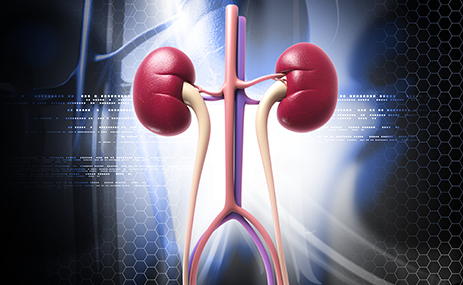 La denervación renal es segura y reduce la presión arterial y la medicación