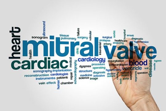 Reemplazo valvular percutáneo de la válvula mitral vs tratamiento médico