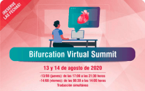Bifurcation Virtual Summit