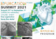 Bifurcation Summit SBHCI 2021