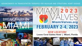 Miami Valves 2023 - Descuento SOLACI 30%